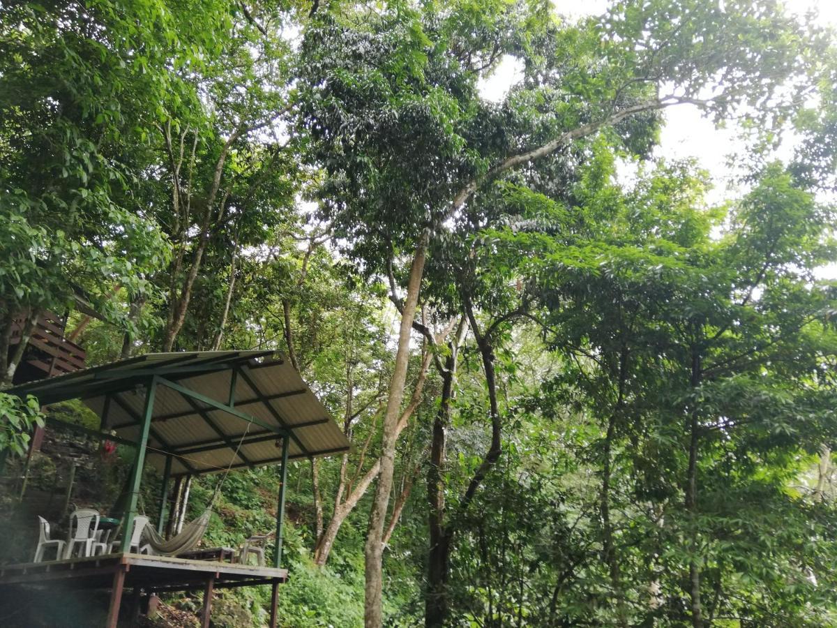 La Montanita Lodge Manuel Antonio Eksteriør billede