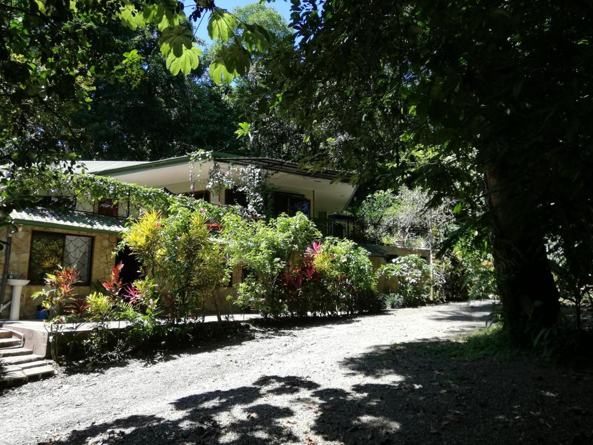 La Montanita Lodge Manuel Antonio Eksteriør billede
