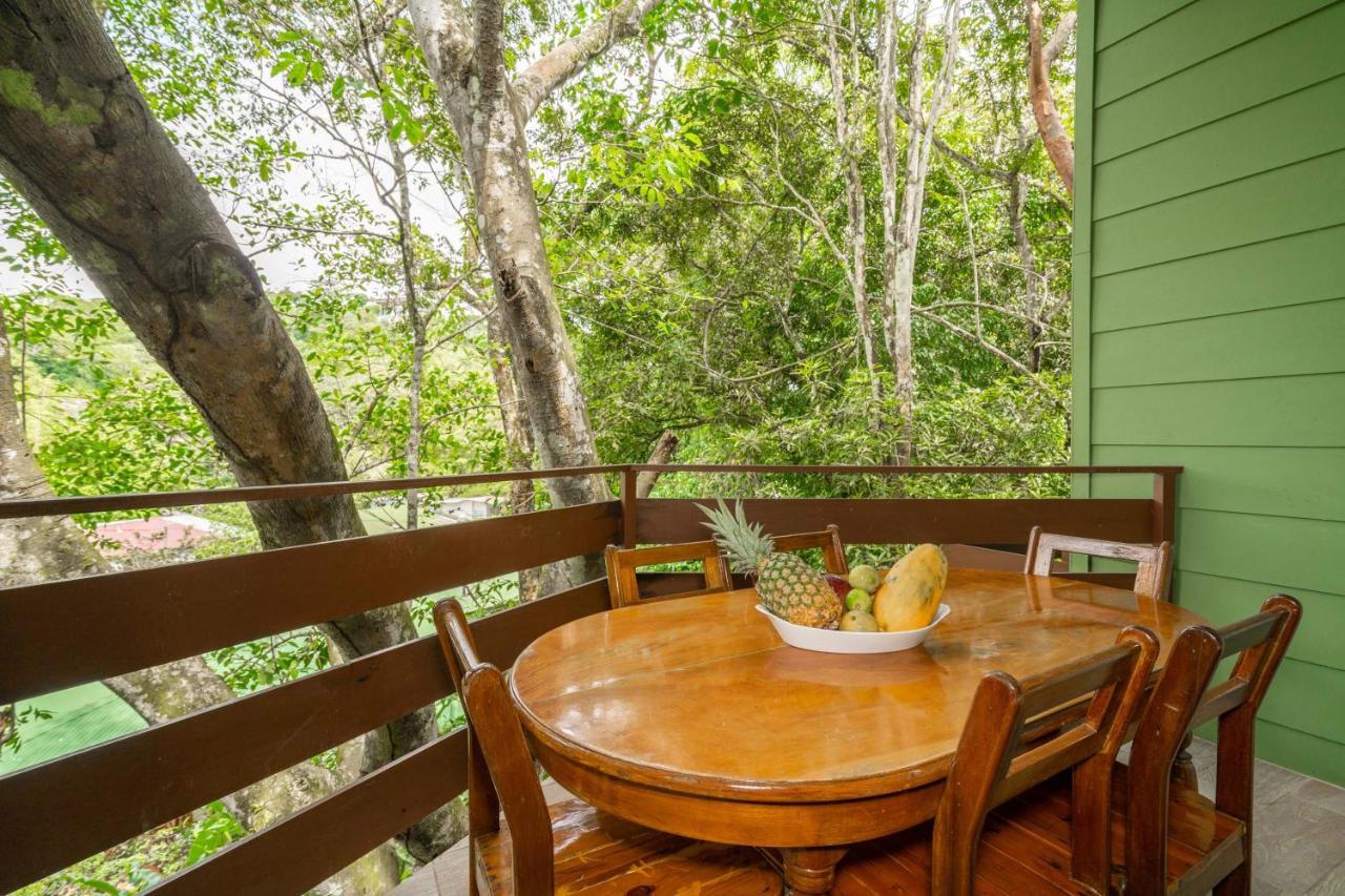 La Montanita Lodge Manuel Antonio Eksteriør billede