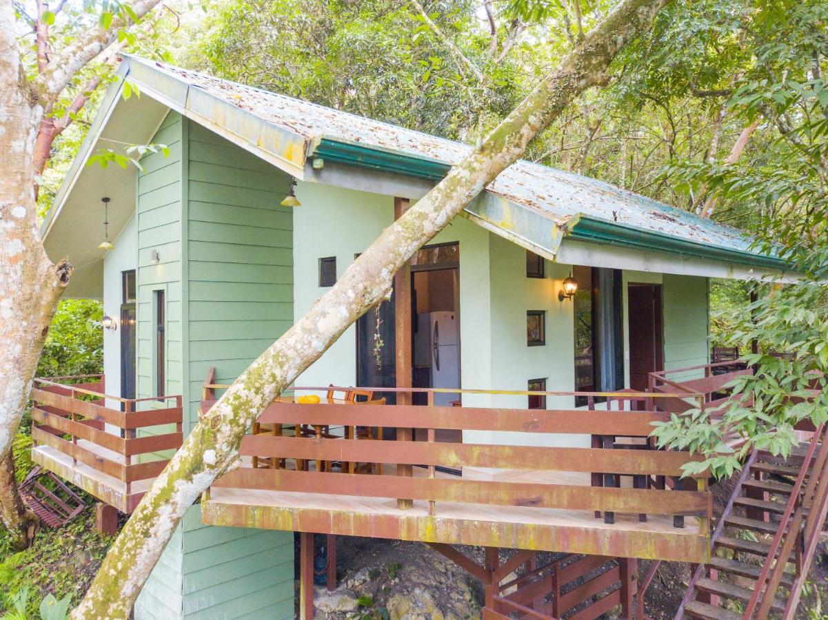 La Montanita Lodge Manuel Antonio Eksteriør billede